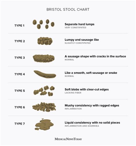 fecal adjective .